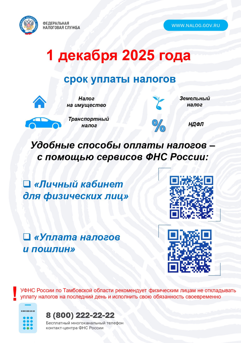 срок уплаты налогов.